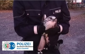 Polizei Coesfeld: POL-COE: Ascheberg, Herberner Straße/ Räuber im Schutzgewahrsam