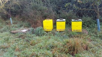 Polizei Düren: POL-DN: Bienendiebstahl