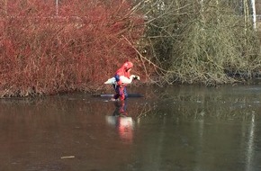 Feuerwehr Mülheim an der Ruhr: FW-MH: Verletzter Schwan im Eis - Tierrettung an der Ruhr #fwmh