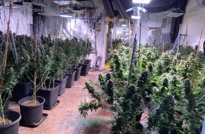 Polizeiinspektion Goslar: POL-GS: Marihuana-Plantage in Bad Harzburg ausgehoben