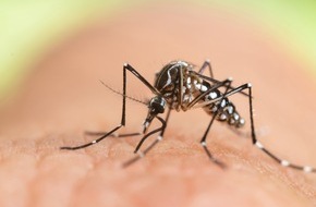 Hermes Arzneimittel GmbH: Schutz vor Mücken und Zecken immer wichtiger / Experten befürchten: Klimawandel lässt bei uns tropische Mücken und Zecken heimisch werden