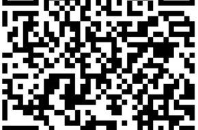 Polizei Salzgitter: POL-SZ: Pressemitteilung der Polizeiinspektion SZ/PE/WF vom 10.04.2026.