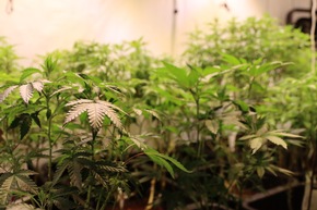 ZOLL-F: Mutmaßliche Darknetdealer-Gruppierung zerschlagen / Zoll und Polizei heben Drogenlager und Cannabisplantage aus / vier Haftbefehle vollstreckt / Server gesichert