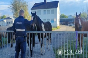 Polizeiinspektion Zweibrücken: POL-PIZW: Cowboy & Polizist - Tierischer Osterausflug