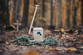 FriedWald Euskirchen genehmigt – ab sofort Termine möglich