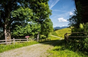 Salzburger Sportwelt: "Waldtanken" in der Salzburger Sportwelt