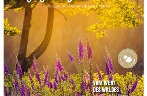 Schmallenberger Sauerland Tourismus: Vom Wert des Waldes - Neues Magazin 2023