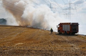 Feuerwehr Pulheim: FW Pulheim: Feldbrand bedrohte Geh&ouml;lzfl&auml;chen
