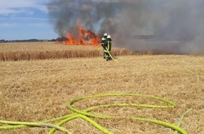 Freiwillige Feuerwehr Borgentreich: FW Borgentreich: Brennt ein Gerstenfeld in Großeneder. Die Rauchwolke war weithin zu sehen.