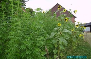 Polizeiinspektion Nienburg / Schaumburg: POL-STH: Cannabis mitten in Wendthagen angepflanzt