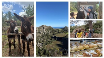 Mallorca im Herbst: das ideale Reiseziel für einen Familienurlaub