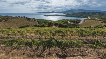 Agència Catalana de Turisme: El Vívid: Das traditionelle Weinfest kehrt zurück an die Costa Brava