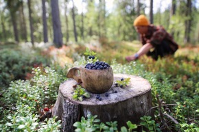 Die Europäische Region der Gastronomie 2024 – Saimaa im finnischen Lakeland
