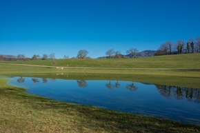Pressemitteilung: Wie? Wo? Wasser!