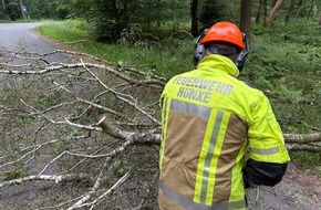 Freiwillige Feuerwehr H&uuml;nxe: FW H&uuml;nxe: Baum blockiert Fahrbahn