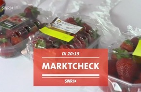 Deutsche Erdbeeren: teuer, aber besser? / "Marktcheck" im SWR Fernsehen