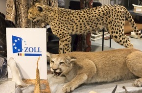 Hauptzollamt Magdeburg: HZA-MD: 3. M&auml;rz 2026: Tag des Artenschutzes / Zoll hilft bedrohte Tiere und Pflanzen zu sch&uuml;tzen