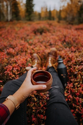 Ruska, Wald und Nordlicht: Warum der finnische Herbst eine Reise wert ist