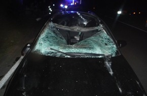 Polizei Düren: POL-DN: Pferd lief vor Auto - schwerer Verkehrsunfall in Hürtgenwald