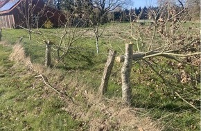 Polizeiinspektion Emsland/Grafschaft Bentheim: POL-EL: S&ouml;gel - Sachbesch&auml;digung - Zeugen gesucht