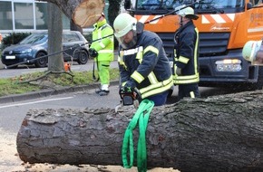 Feuerwehr und Rettungsdienst Bonn: FW-BN: Rund 170 Einsätze für die Feuerwehr Bonn durch Sturmtief Friederike