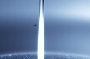 hannoverimpuls GmbH: Maßgeschneidertes Licht aus Glasfasern: EXIST-Förderung für neue Entwicklung aus dem Laser Zentrum Hannover