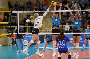 VC Wiesbaden Spielbetriebs GmbH: Auch gegen Flacht keine Punkte