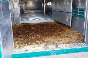 Polizeiinspektion Neubrandenburg: POL-NB: Kontrolle eines Viehtransportes - Verstoß gegen Vorschriften zum Seuchenschutz festgestellt