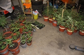 Polizeidirektion Hannover: POL-H: Polizei beschlagnahmt Indoorplantage