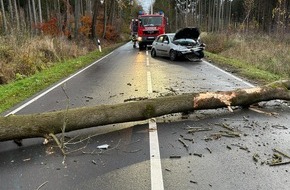 Polizeiinspektion Hildesheim: POL-HI: Baum fällt auf Straße - Verkehrsunfall fordert einen Verletzten -