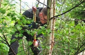 Bergwaldprojekt e.V.: Projektstart Natur (er)leben! – Kinder- und Jugendhilfe packt an