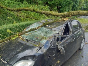 FW-EN: Massiver Baum st&uuml;rze auf fahrenden Pkw - Zwei Verletzte bei Unfall in Herdecke - Gro&szlig;es Gl&uuml;ck f&uuml;r Insassen