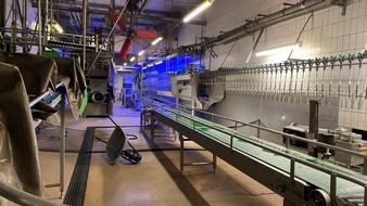 ANINOVA: "Luna" Suppenhuhn Schlachthof wird abgewickelt - mehrere Mitarbeitende bereits wegen Tierqu&auml;lerei verurteilt