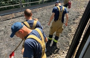 Feuerwehr Stuttgart: FW Stuttgart: Stuttgarter Feuerwehr l&ouml;scht erneuten Vegetationsbrand am Hauptbahnhof
