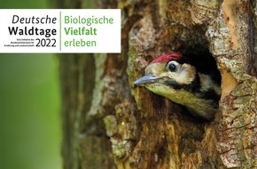 Deutsche Waldtage: Auf ins Grüne: Einladung zu den Deutschen Waldtagen 2022 / Bundesweit 300 Angebote, biologische Vielfalt zu erleben