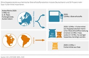 Grain Club: Biokraftstoffe leisten unverzichtbaren Beitrag zur Versorgungssicherheit