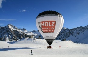 Holzenergie Schweiz: Ab 2010 jedes Jahr 140 Millionen Franken für erneuerbare Energien