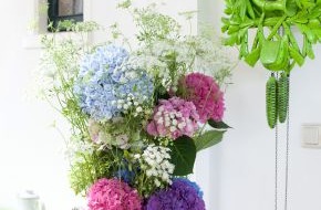 Blumenbüro: Farbenvielfalt in der Vase: Verwandlungskünstlerin Hortensie (mit Bild)