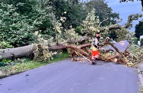 Freiwillige Feuerwehr Hünxe: FW Hünxe: Baum blockierte Straße