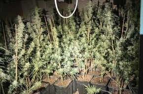 Polizei Eschwege: POL-ESW: Marihuanaplantage ausgehoben