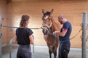 Posttraumatische Belastungsstörung: Erste Studienergebnisse zur Pferdetherapie geben Hoffnung