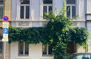 Verbraucherzentrale Nordrhein-Westfalen e.V.: Wussten Sie schon, dass auch gr&uuml;ne Pflanzenvorh&auml;nge gegen Hitze helfen?