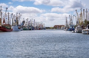 Tourismus Marketing Service Büsum GmbH: 119. Kutterregatta in Büsum