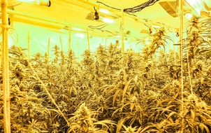 Polizei Mönchengladbach: POL-MG: Durchsuchung im Stadtteil Geneicken: Etwa 900 Cannabis-Pflanzen beschlag-nahmt, zwei Tatverdächtige in Untersuchungshaft