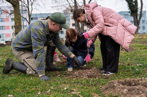 BAUHAUS zieht positive Bilanz aus Waldinsel-Pflanzungen