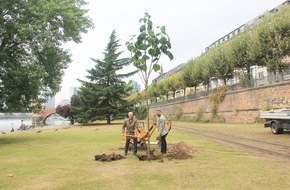 Zurich Gruppe Deutschland: Für das Stadtklima der Zukunft: Zurich Versicherung pflanzt „Kiris“ und spendet 24.000 Bäume für den Frankfurter Stadtwald