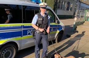 Bundespolizeiinspektion Hamburg: BPOL-HH: Fellnasen im Betriebsbahnhof - zwei junge Hunde auf Abwegen