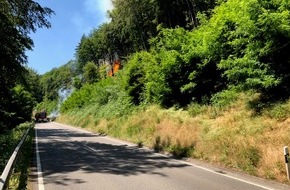 Polizeidirektion Pirmasens: POL-PDPS: Waldbrand zwischen Pirmasens und Rodalben