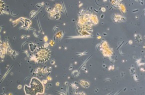 Universität Konstanz: Ökologie trifft Hightech, PI Nr. 111/2025