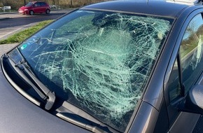 Polizeiinspektion Harburg: POL-WL: Pressemitteilung der PI Harburg für den Zeitraum Freitag, 10.01.2025 12:00 Uhr bis Sonntag, 12.01.2025 12:00 Uhr